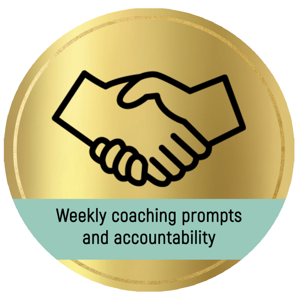 Weekly coaching prompts and accountability