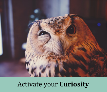 Activate Your Curiosity