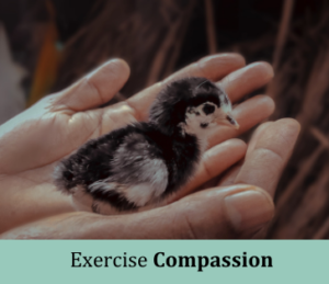 Exercise-Compassion-300×259